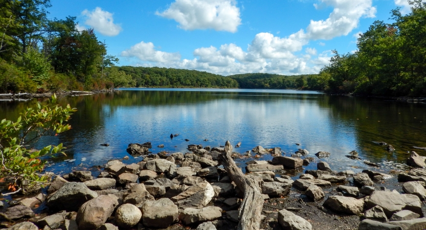 Rocks rest near a body of water, with a tree-lined shore in the background. 